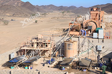 Sudan 500t/d Gold Project