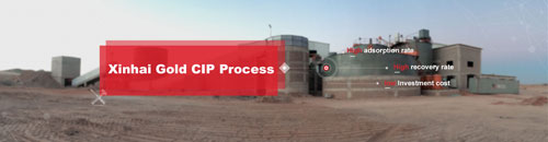 Gold CIP Process