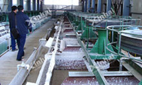 Fluorite (Fluorspar) Flotation Process